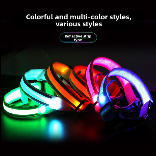LED Reflective Dog Collar for Night Safety