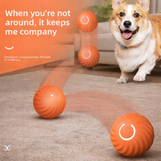 Interactive Smart Pet Ball