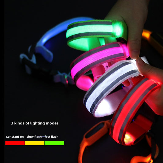 LED Reflective Dog Collar for Night Safety